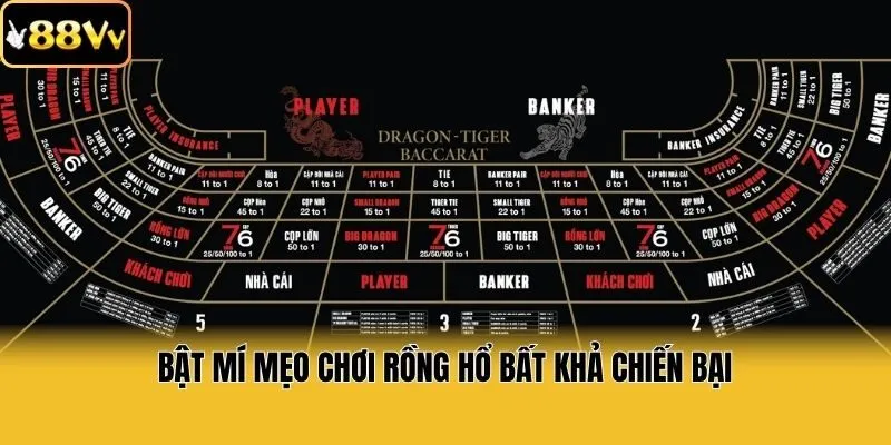 Bật mí mẹo chơi rồng hổ bất khả chiến bại