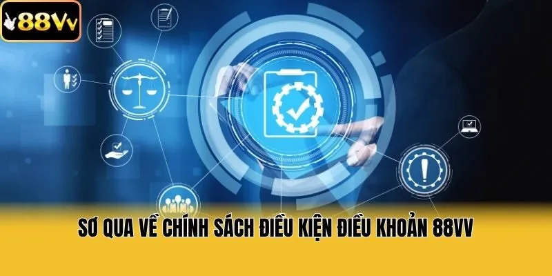 Sơ qua về chính sách điều kiện điều khoản 88vv