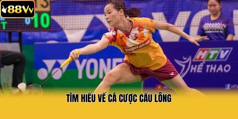 Tìm hiểu về Cá cược cầu lông