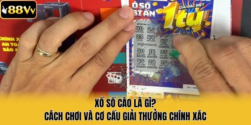 Xổ Số Cào Là Gì? Cách Chơi Và Cơ Cấu Giải Thưởng Chính Xác